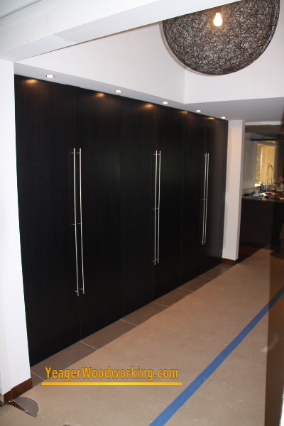 dark ebony closet doors